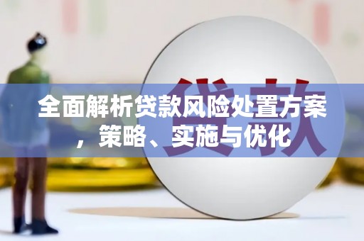 永定全面解析贷款风险处置方案，策略、实施与优化
