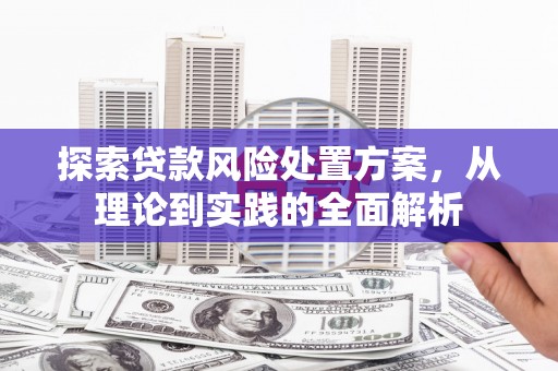 永定探索贷款风险处置方案，从理论到实践的全面解析