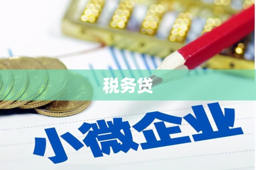 永定税务贷