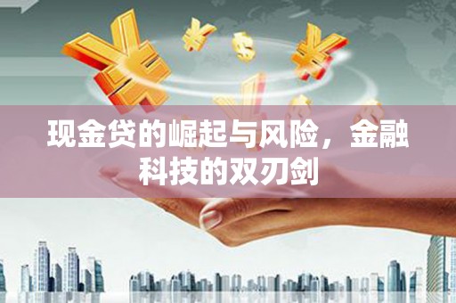 永定现金贷的崛起与风险，金融科技的双刃剑