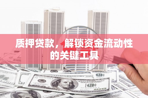 永定质押贷款，解锁资金流动性的关键工具