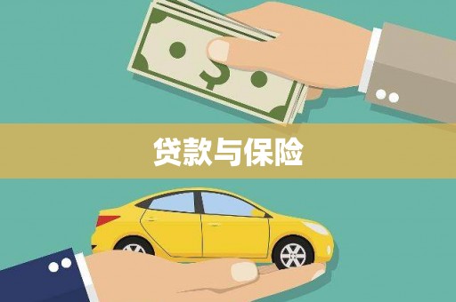 永定贷款与保险