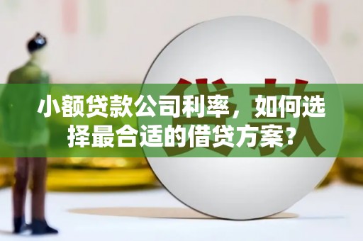 永定小额贷款公司利率，如何选择最合适的借贷方案？