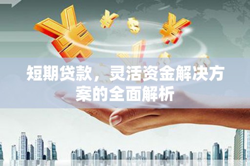 永定短期贷款，灵活资金解决方案的全面解析