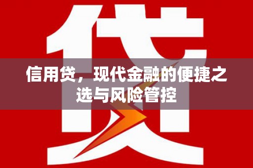 永定信用贷，现代金融的便捷之选与风险管控