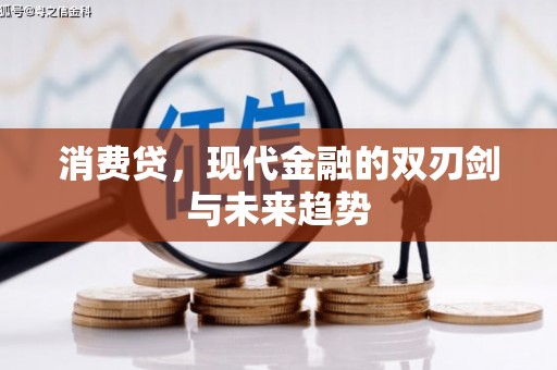 永定消费贷，现代金融的双刃剑与未来趋势