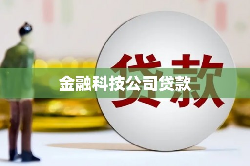 永定金融科技公司贷款