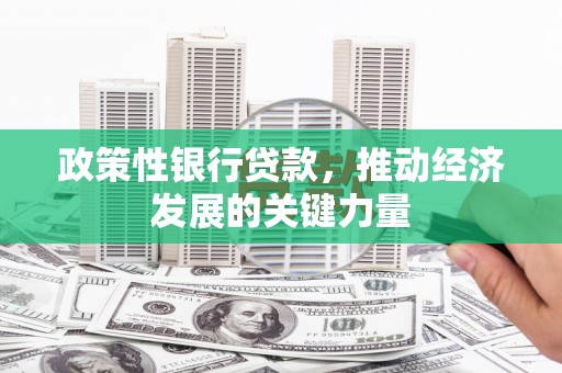 永定政策性银行贷款，推动经济发展的关键力量