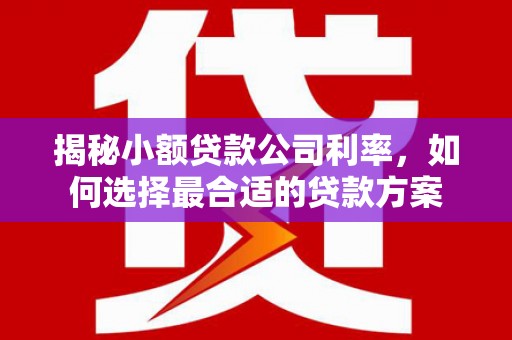 永定揭秘小额贷款公司利率，如何选择最合适的贷款方案