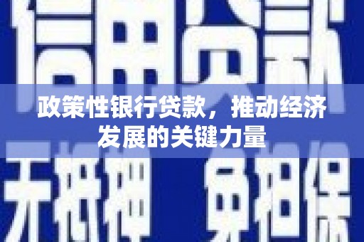 永定政策性银行贷款，推动经济发展的关键力量