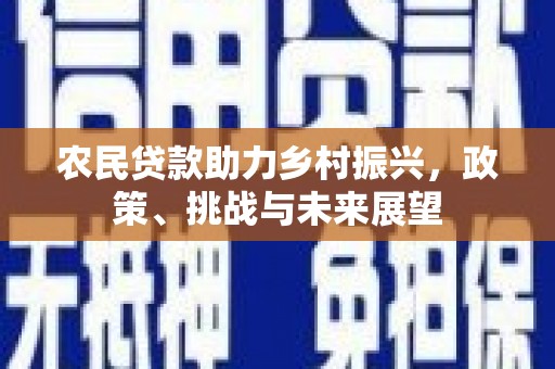 永定农民贷款助力乡村振兴，政策、挑战与未来展望