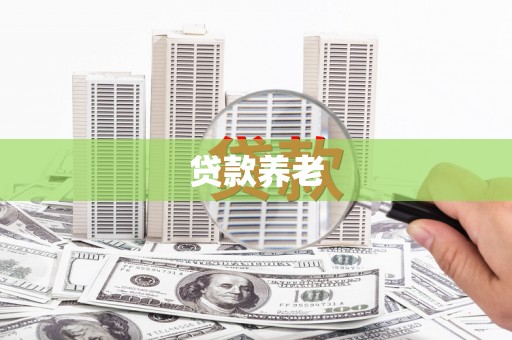 永定贷款养老