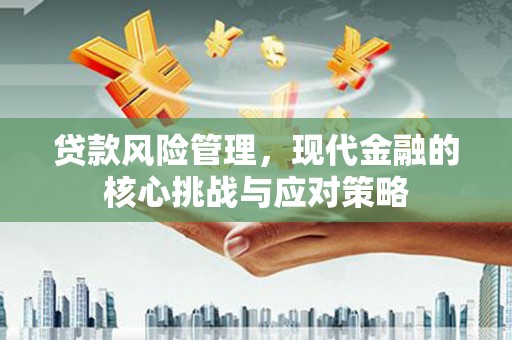 永定贷款风险管理，现代金融的核心挑战与应对策略