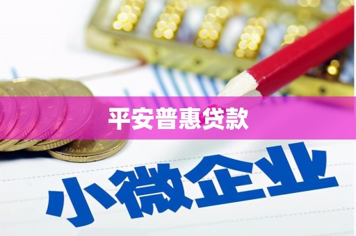 永定平安普惠贷款