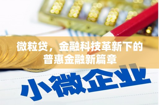 永定微粒贷，金融科技革新下的普惠金融新篇章