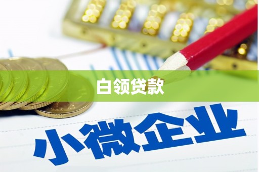 永定白领贷款