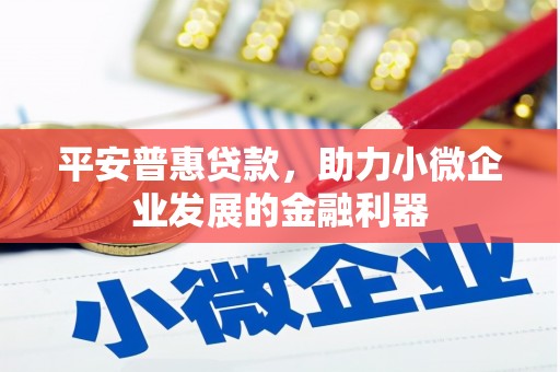 永定平安普惠贷款，助力小微企业发展的金融利器