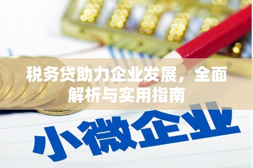 永定税务贷助力企业发展，全面解析与实用指南