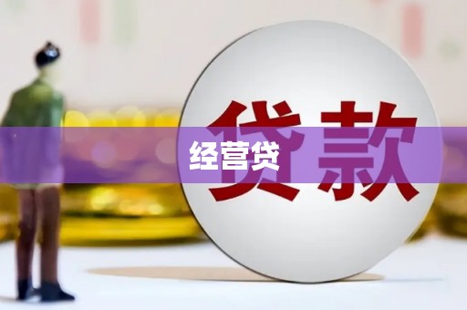 永定经营贷