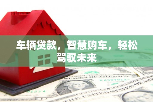 永定车辆贷款，智慧购车，轻松驾驭未来