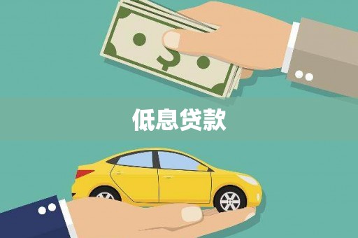 永定低息贷款