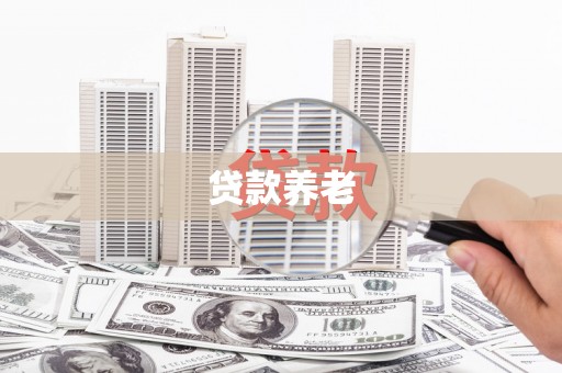 永定贷款养老