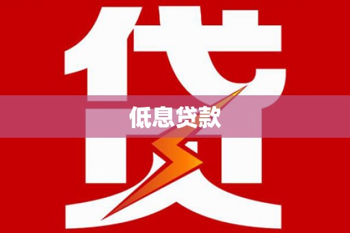 永定低息贷款
