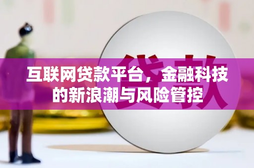 永定互联网贷款平台，金融科技的新浪潮与风险管控