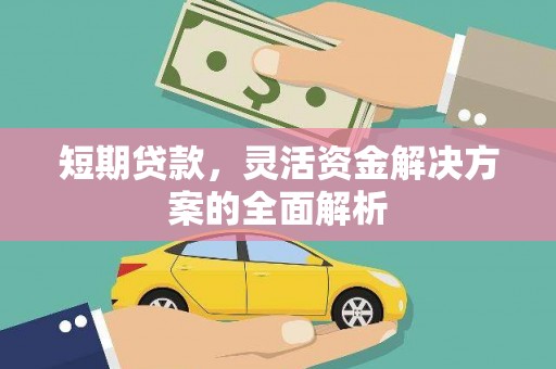永定短期贷款，灵活资金解决方案的全面解析