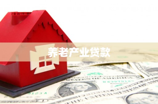 永定养老产业贷款