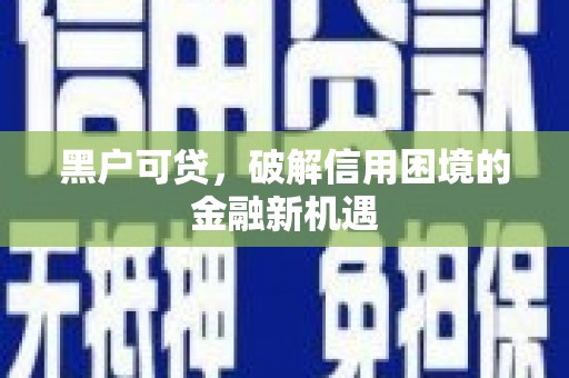 永定黑户可贷，破解信用困境的金融新机遇