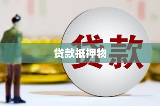 永定贷款抵押物