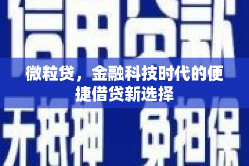 永定微粒贷，金融科技时代的便捷借贷新选择