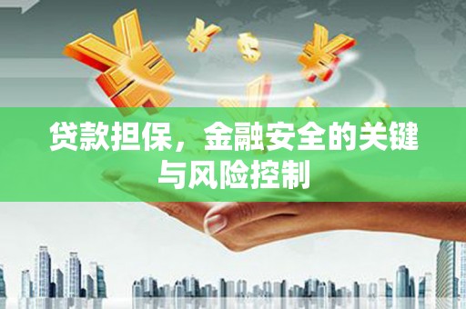 永定贷款担保，金融安全的关键与风险控制