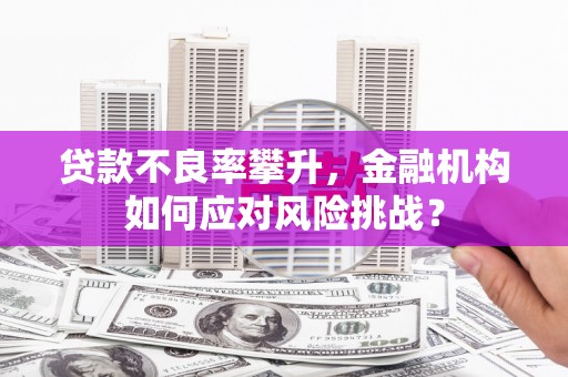 永定贷款不良率攀升，金融机构如何应对风险挑战？