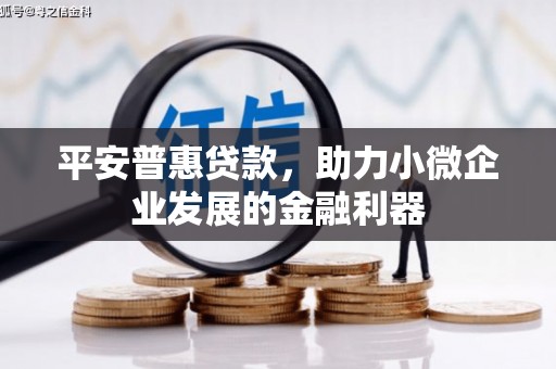 永定平安普惠贷款，助力小微企业发展的金融利器