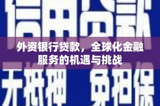 永定外资银行贷款，全球化金融服务的机遇与挑战