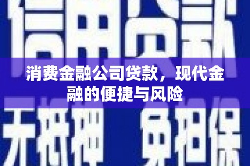 永定消费金融公司贷款，现代金融的便捷与风险