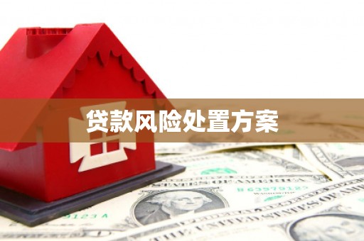 永定贷款风险处置方案