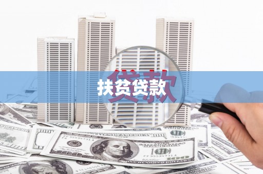 永定扶贫贷款