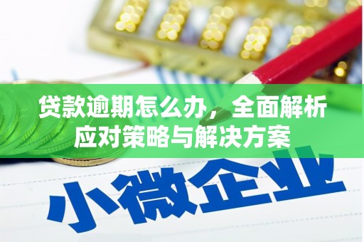 永定贷款逾期怎么办，全面解析应对策略与解决方案