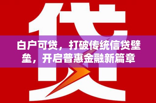 永定白户可贷，打破传统信贷壁垒，开启普惠金融新篇章