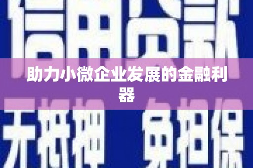 永定助力小微企业发展的金融利器