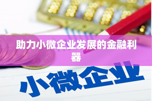 永定助力小微企业发展的金融利器
