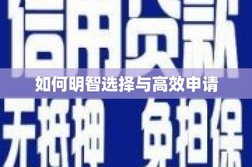 永定如何明智选择与高效申请