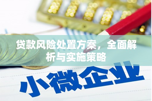 永定贷款风险处置方案，全面解析与实施策略