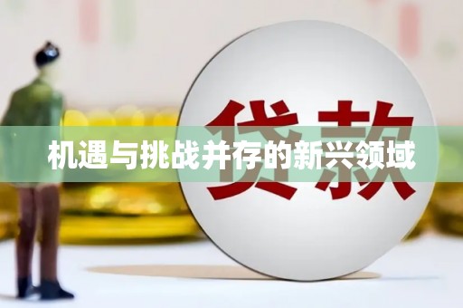 永定机遇与挑战并存的新兴领域