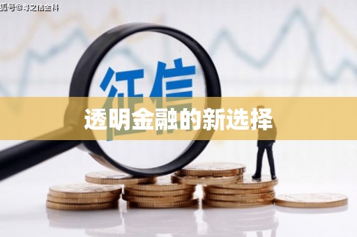 永定透明金融的新选择