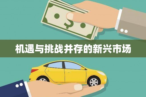 永定机遇与挑战并存的新兴市场