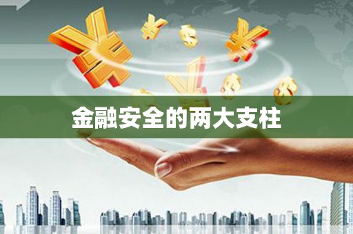 永定金融安全的两大支柱